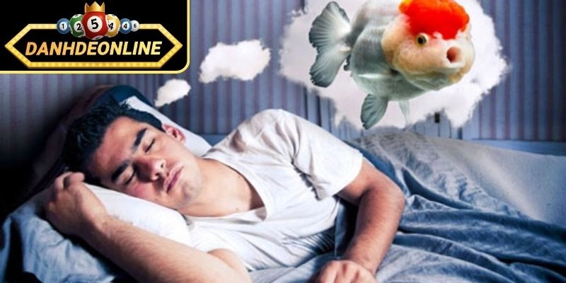 Nằm mơ thấy cá mang ý nghĩa tâm linh gì?